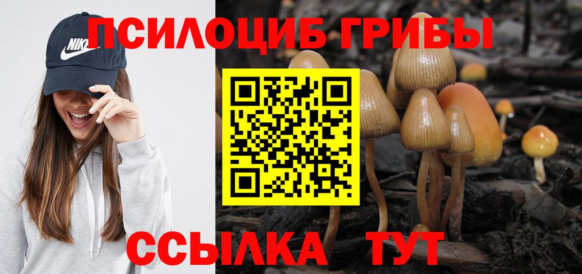 Галлюциногенные грибы мицелий Керчь