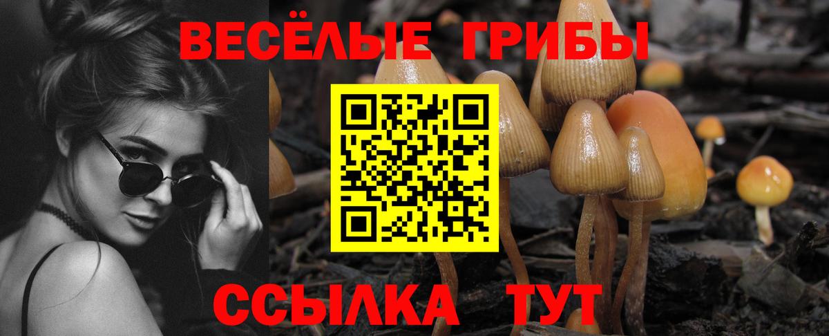 Керчь  Галлюциногенные грибы мицелий  Галлюциногенные грибы ЛСД  Вход с VPN 
